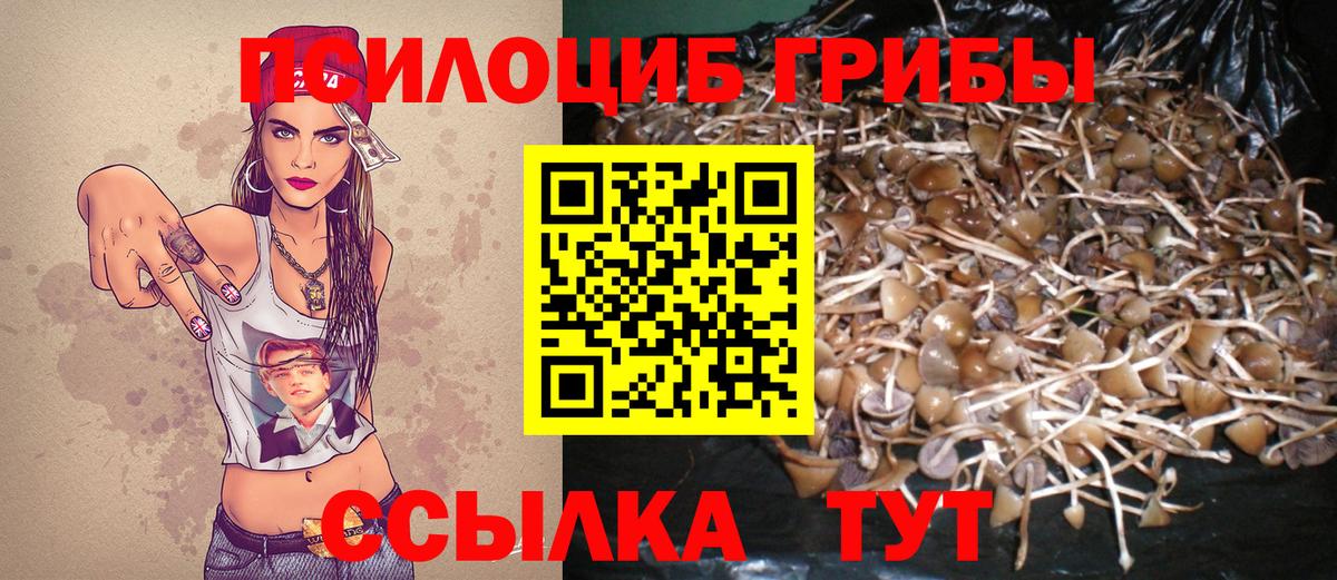 Галлюциногенные грибы мицелий  Вход с VPN  Изобильный 